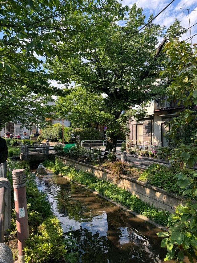你知道嗎？東京有許多橫穿城市的超長綠道