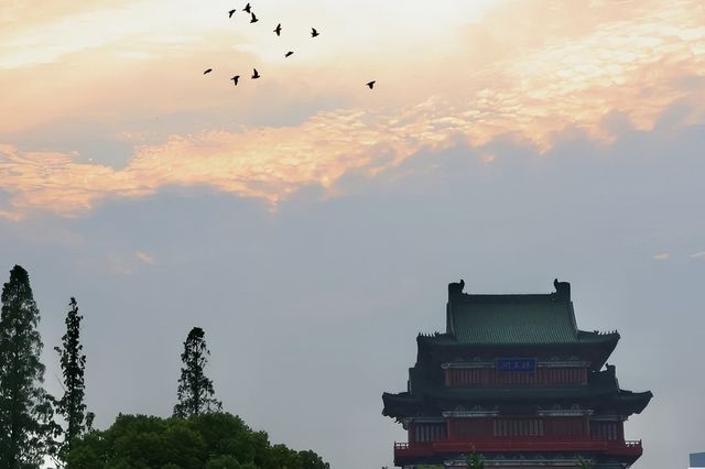 黃山江西9天8晚純乾貨分享