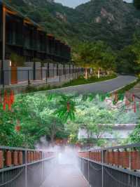 愛咗愛咗！最完美嘅季節入住最完美嘅民宿