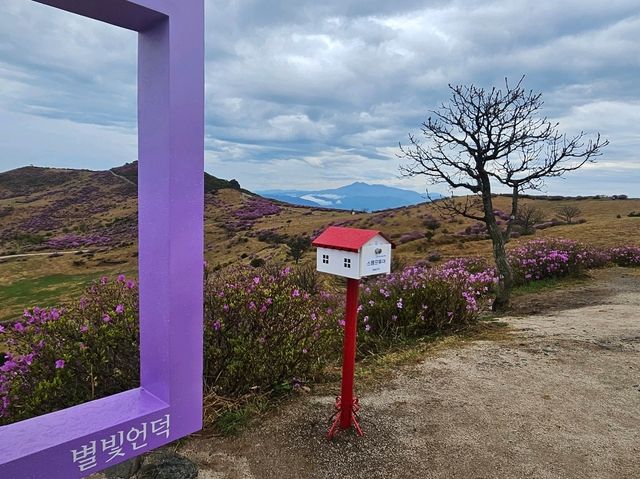 별빛언덕 황매산