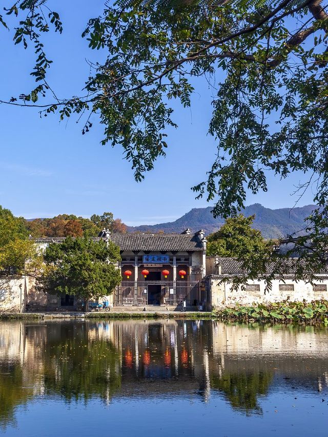 暑假遛娃5日玩轉婺源和黃山～全攻略