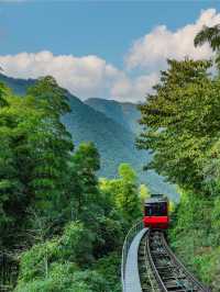 住進溧陽嘅萬畝竹海，做一場山野之夢
