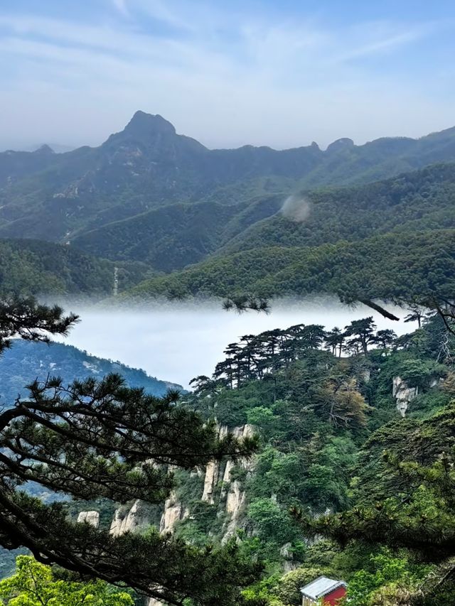 淡季去咗趟泰山，3條登頂路線，講下我嘅建議……