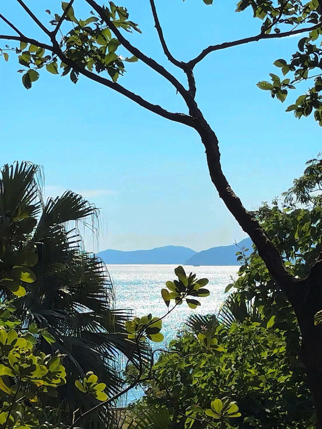 🌊香港淺水灣，尾波衝浪超燃體驗