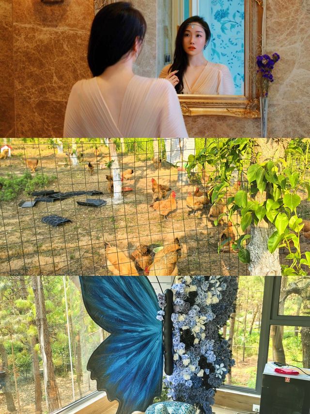 六月揚州，邂逅慢時光與浪漫花海