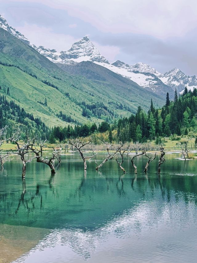 講真話可能難聽，但呢啲都係四姑娘山6-7月嘅真實情況