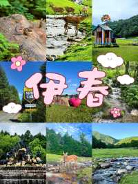 逃離熱浪！22℃嘅伊春秘境，藏住中國夏天最治癒嘅模樣