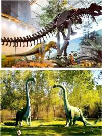 穿越1.8億年的奇幻之旅！雲陽恐龍化石地質公園攻略