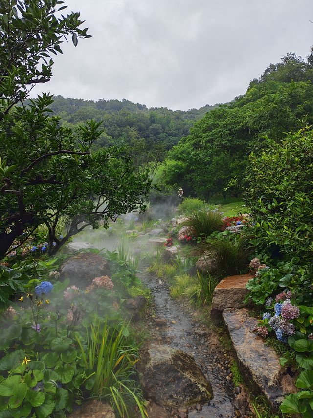琵琶里霧森花海｜南北湖新晉仙境，每一步都係網紅大片！