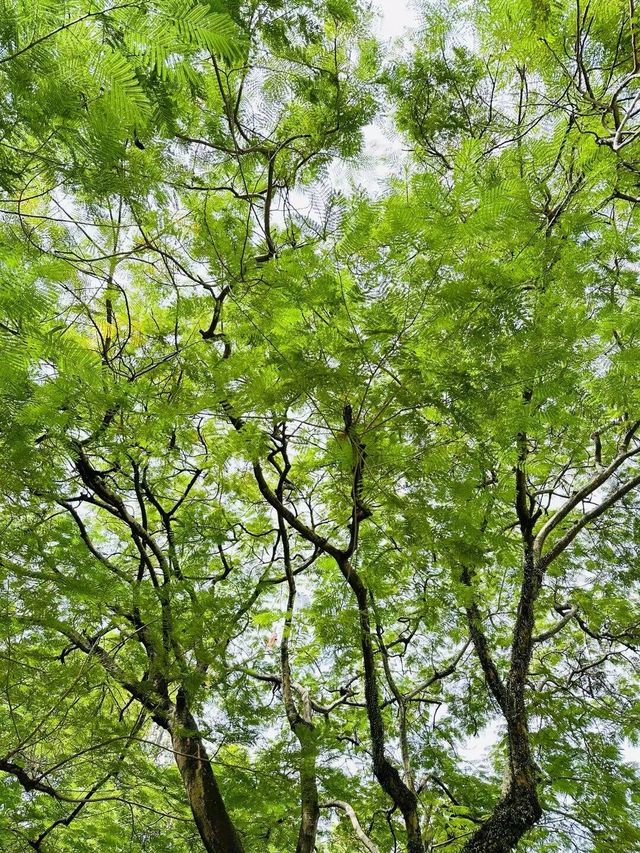 打工人週末旅行第93站福建 漳州