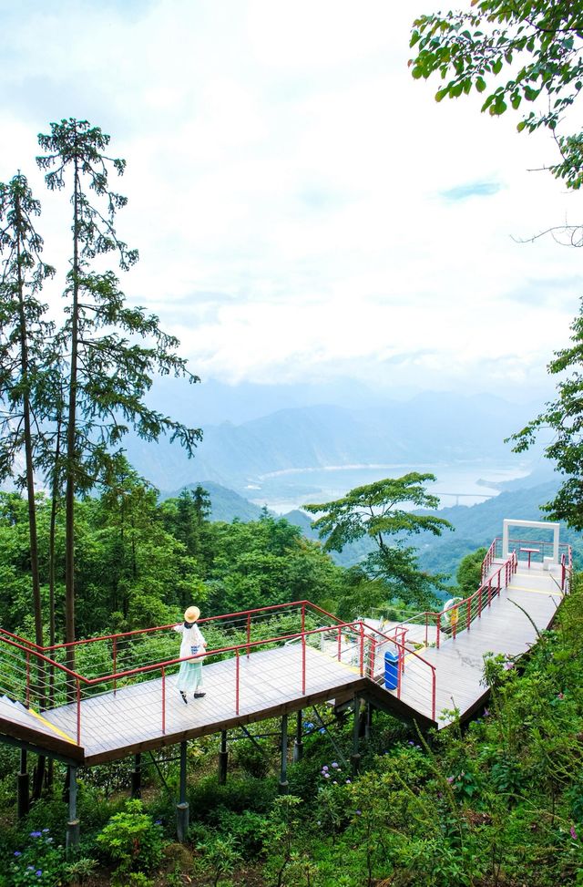 以為青城山已經夠美了！直到我來到……1.5h