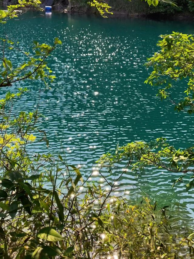 桐廬大奇山—後悔而家先發現呢個旅遊聖地