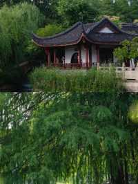 盛夏闖入滬郊秘境！這座園林藏著江南的詩意與清涼