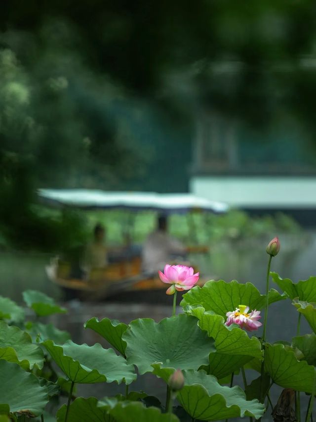 杭州發現一間寶藏民宿｜藏住風景同畫