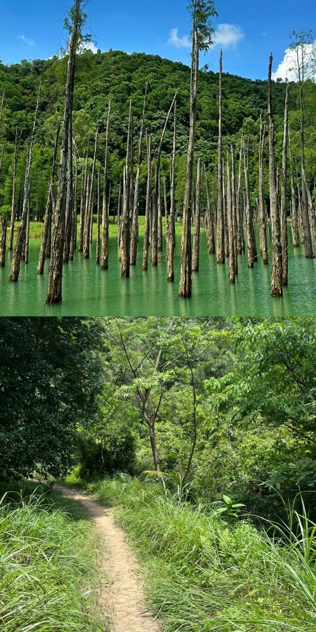 中山石寨水庫徒步攻略：夏日裡的「阿勒泰」