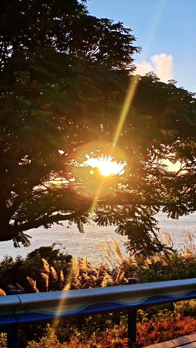 朱家尖：奔赴山海，解鎖東海浪漫