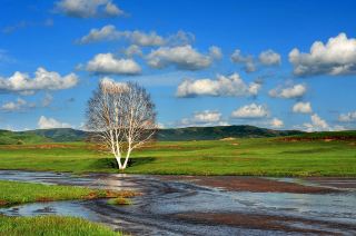 #Nature's Beauty Here's a 5-day travel guide to Saihanba, allowing you to fully enjoy its stunning scenery during summer vacation:

Day 1: Arrival in Saihanba