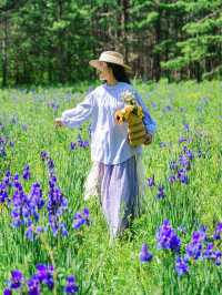 山坡上花開，我與春風撞個滿懷