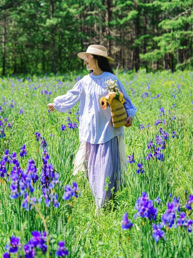 山坡上花開，我與春風撞個滿懷