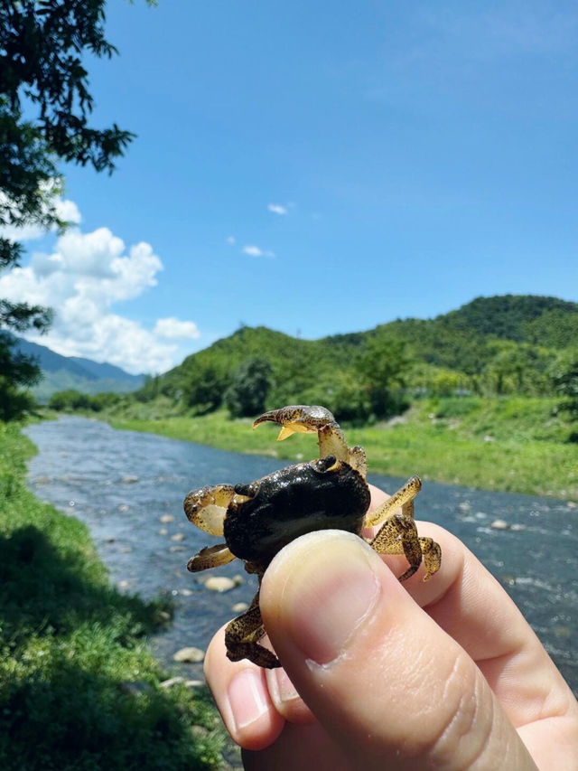 安吉絕美秘境！媲美新疆嘅山水天堂