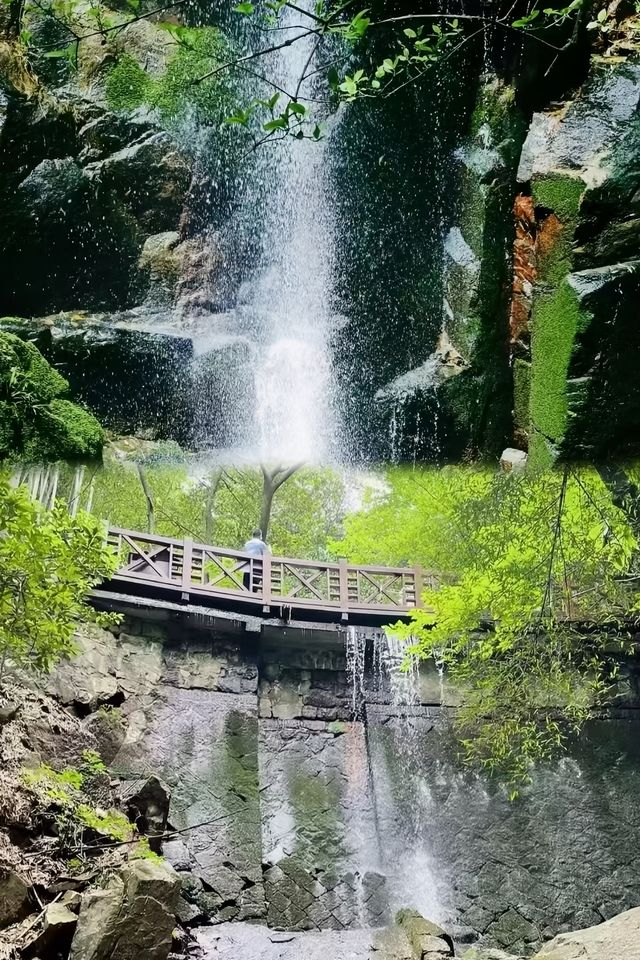 夏日避暑勝地：浙江莫干山實用遊玩攻略，真實體驗！