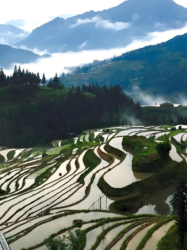 加榜梯田漫遊：在層層綠意裡拾光而行 