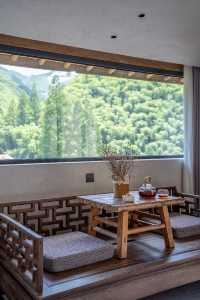 臥聽竹裂·坐飲山泉｜安吉山居避暑日記