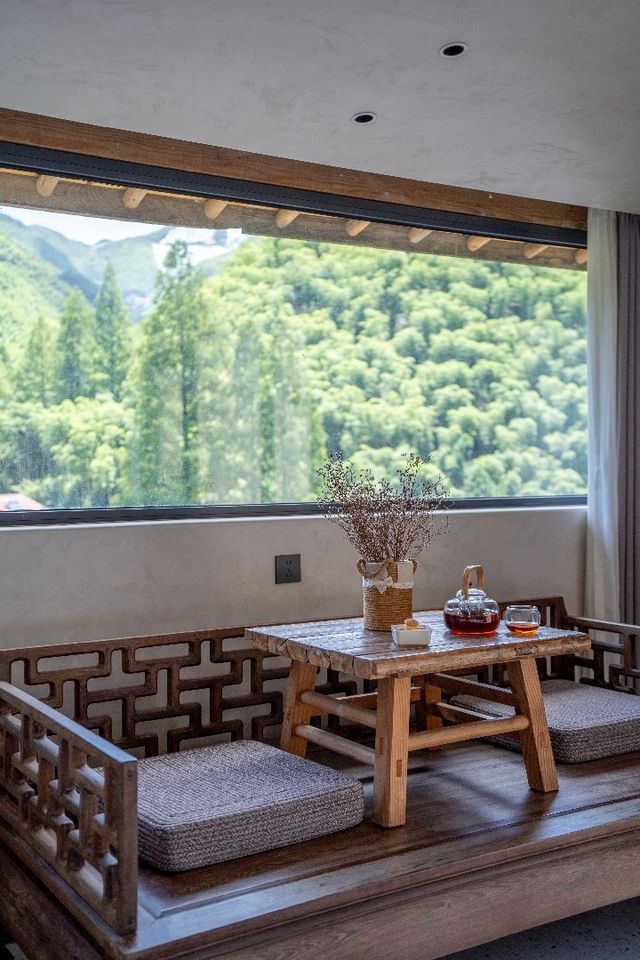 臥聽竹裂·坐飲山泉｜安吉山居避暑日記