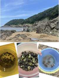 舟山朱家尖｜帶娃趕海超值民宿攻略