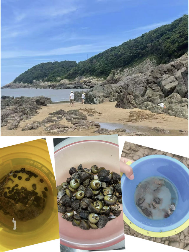 舟山朱家尖｜帶娃趕海超值民宿攻略