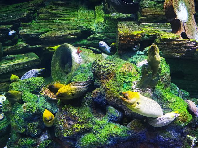 珠海長隆（3）飛船樂園，一日時間有啲趕