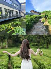 上海周邊竟藏這等寶地！蘇州太湖嘅夢幻奇遇