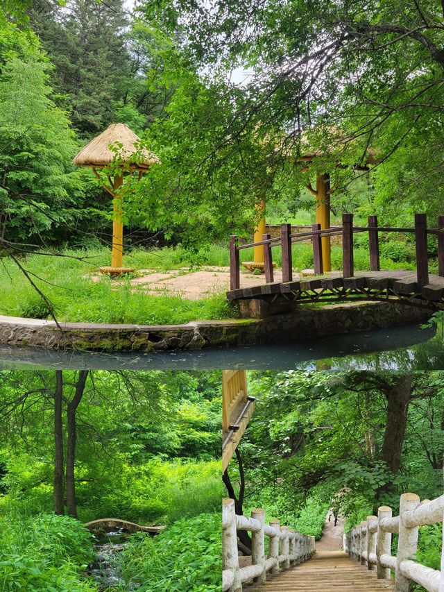 不是奈良，不是北歐，均溫21℃必須帶娃避暑去