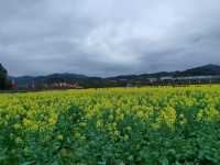 永放光芒的紅色聖地——古田