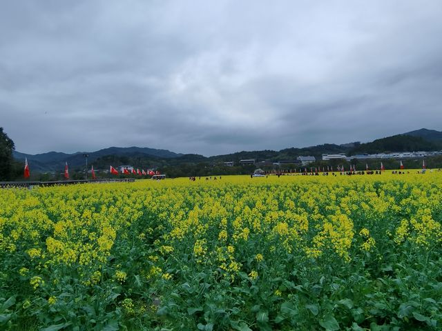 永放光芒的紅色聖地——古田