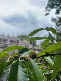 「觸摸千年心跳：在臨海江南長城，與歷史撞個滿懷」——國慶前夕