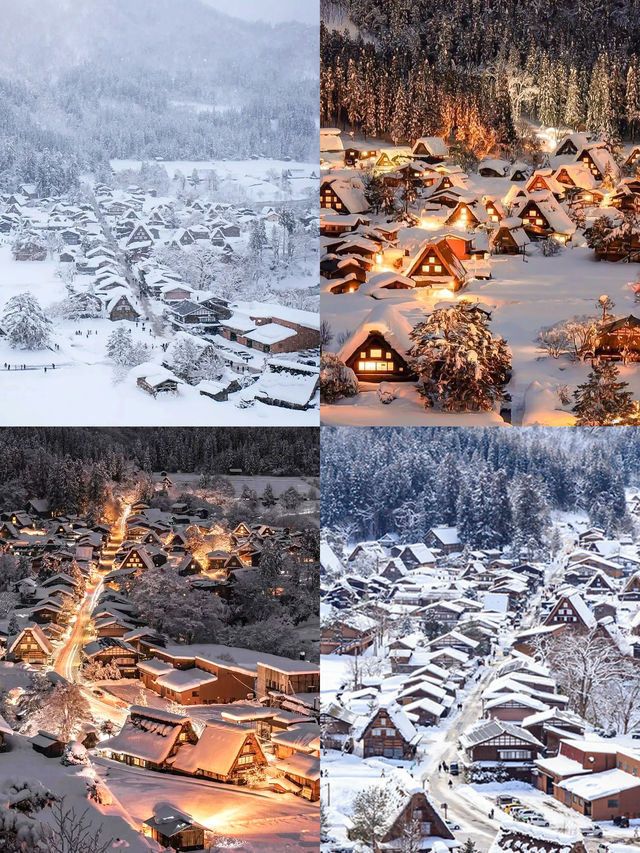 冬天一定要去白川鄉+金澤，美過北海道