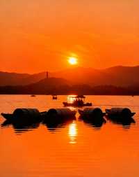 圓明園花海暴擊！一不小心闖進莫奈油畫世界