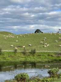 🇳🇿🐑 Hobbiton's Secret Beauty: Where Rolling Green Meets Crystal Waters! 🌊