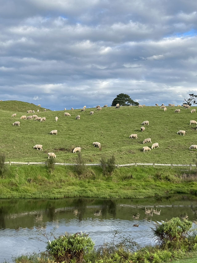 🇳🇿🐑 Hobbiton's Secret Beauty: Where Rolling Green Meets Crystal Waters! 🌊