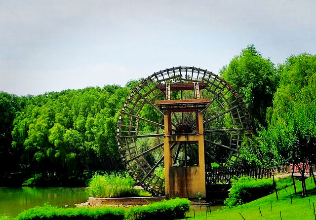 中衛香山公園｜自然景觀與人文休閒於一體的城市公園
