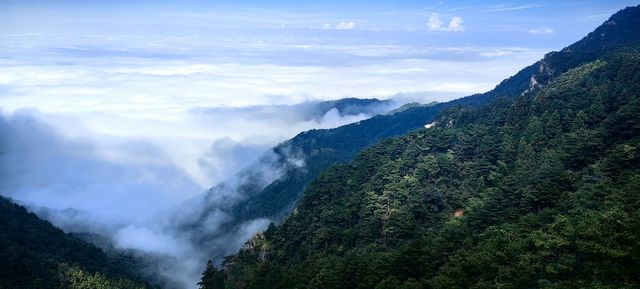 住進廬山雲海間｜這家民宿讓我實現了仙俠夢