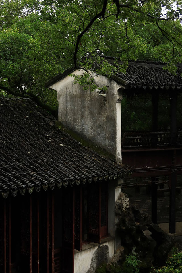週末不買門票，去同里古鎮耍一圈，你敢信？