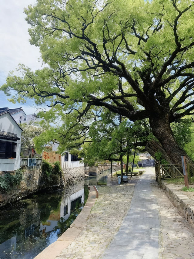 蘇州西山島漫遊|一日逃離城市計劃 蘇州西山島漫遊|一日逃離城市計劃