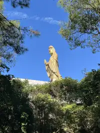 【普陀山】反向路線一日遊get