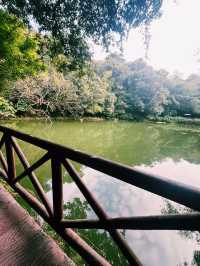 Baiyun Mountain: Your Epic Nature Retreat Near Guangzhou 🌄🌳