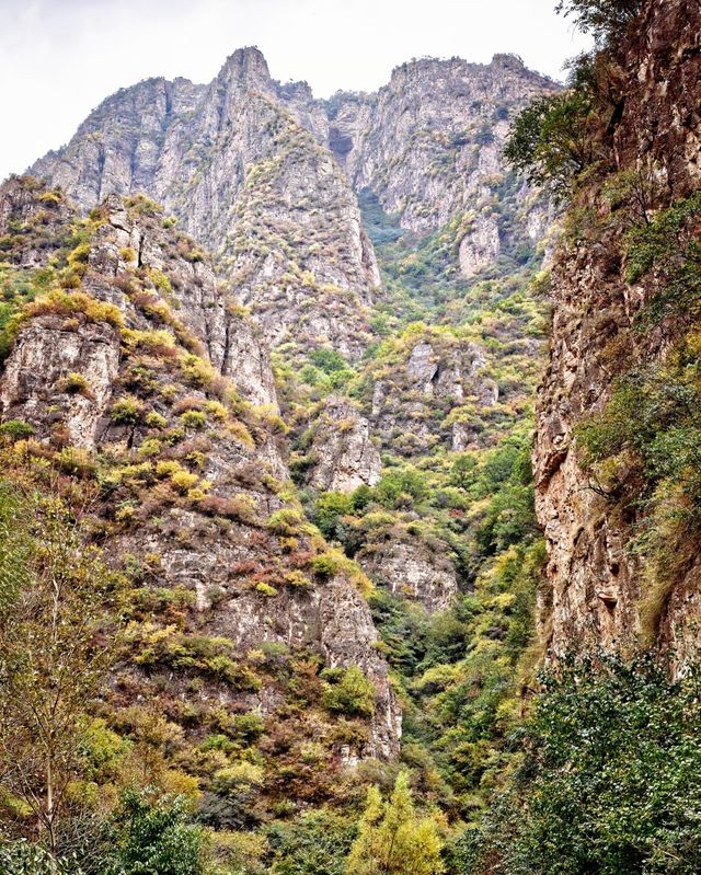 阜平山的深秋美景解鎖啦｜把北方的美景變成了油畫