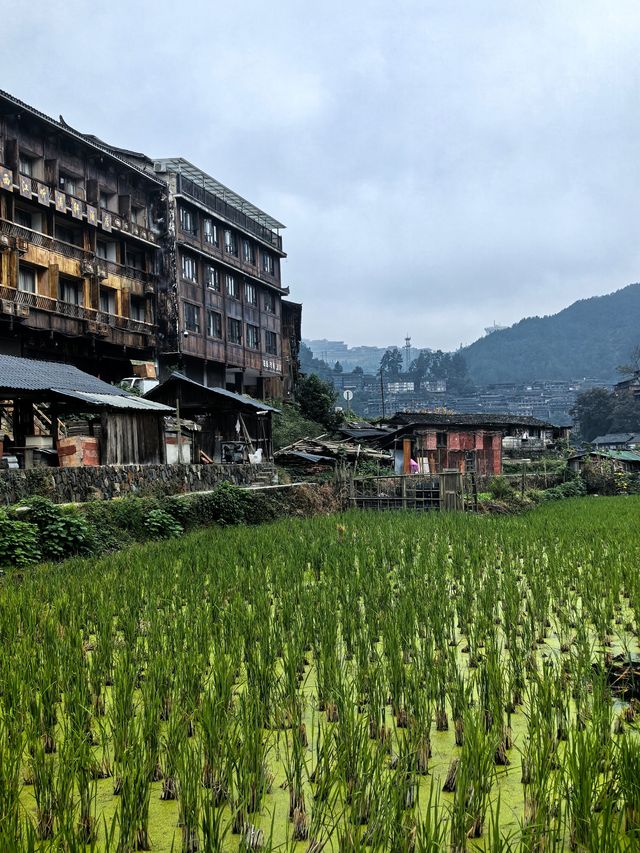 解鎖西江千戶苗寨隱藏玩法｜本地人才懂的小眾體驗