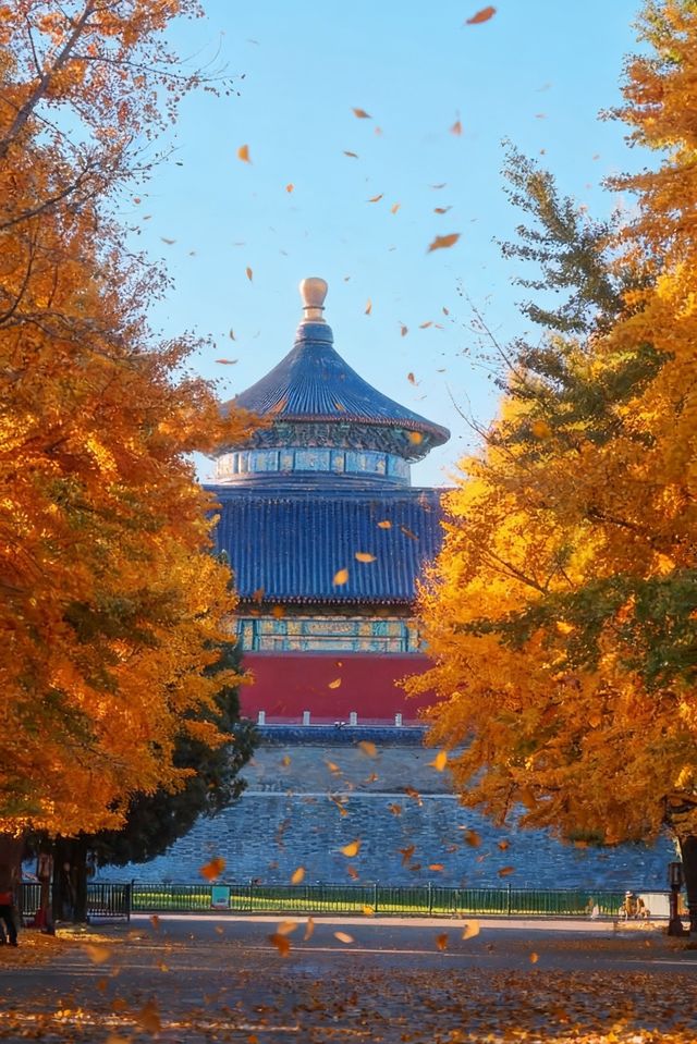 北京的秋天是中式美學的巔峰之作！！