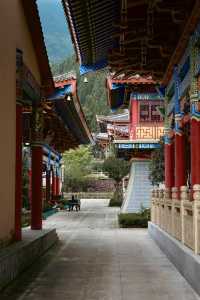 師傅說:這樣的供奉才是最好的|寺廟見聞